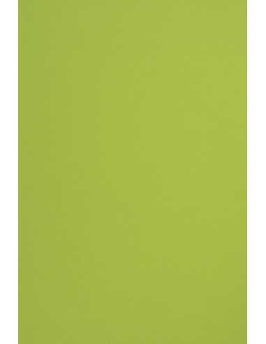 Sirio Color Paper 115g Lime 70x100