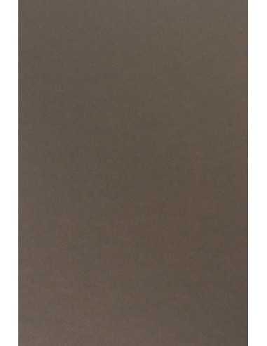 Sirio Color Smooth Paper 115g Caffe 70x100