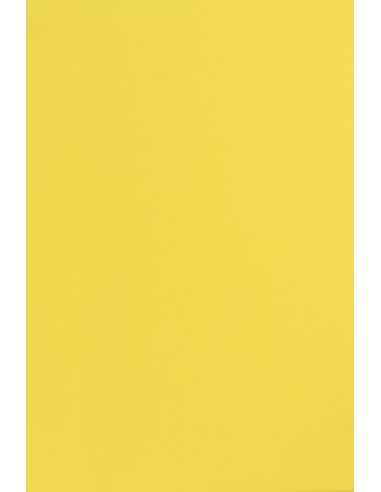 Sirio Color Smooth Paper 115g Limone 70x100