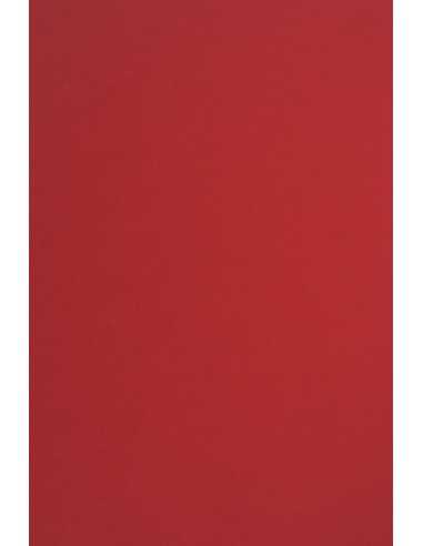 Sirio Color Smooth Paper 115g Lampone 70x100