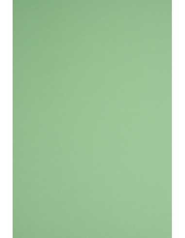 Woodstock Paper Verde 170g 70x100