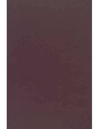 Sirio Color Smooth Paper 210g Vino 70x100