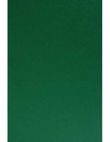Sirio Color Smooth Paper 210g Foglia 70x100