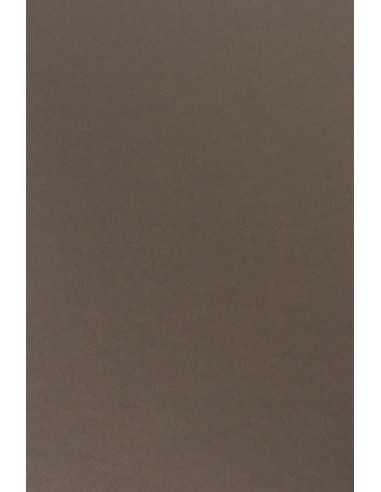 Sirio Color Smooth Paper 210g Caffe 70x100