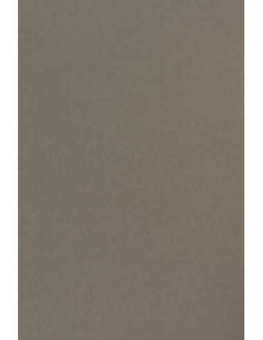 Sirio Color Smooth Paper 210g Pietra 70x100