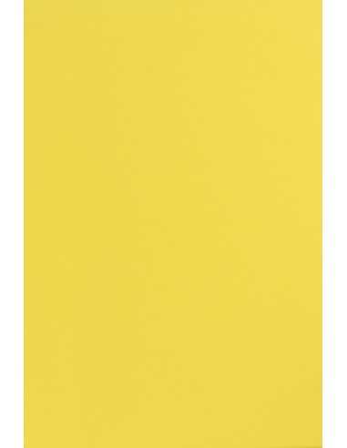 Sirio Color Smooth Paper 210g Limone 70x100