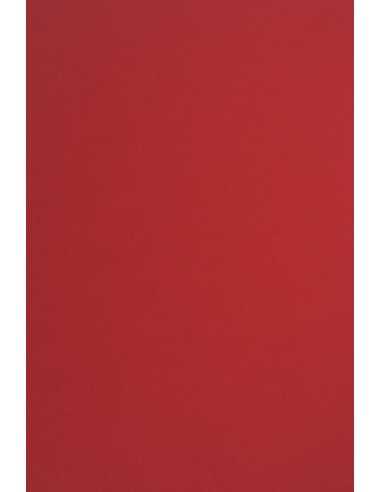 Sirio Color Smooth Paper 210g Lampone 70x100