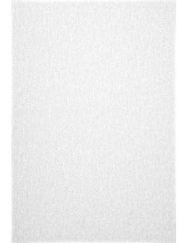 Pergamenata Translucent Paper 230g Bianco White 70x100