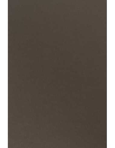 Sirio Color Smooth Paper 480g Caffe 70x100