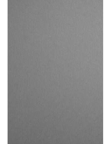 Nettuno Textured Paper 215g Polvere 72x101
