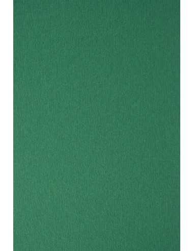 Nettuno Textured Paper 215g Verde Foresta 72x101