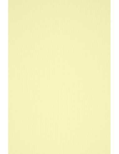 Acquerello Textured Paper 240g Camoscio 72x101