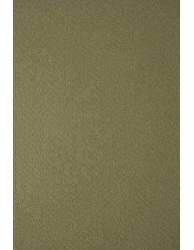 Tintoretto Textured Paper 250g Wasabi 72x101cm