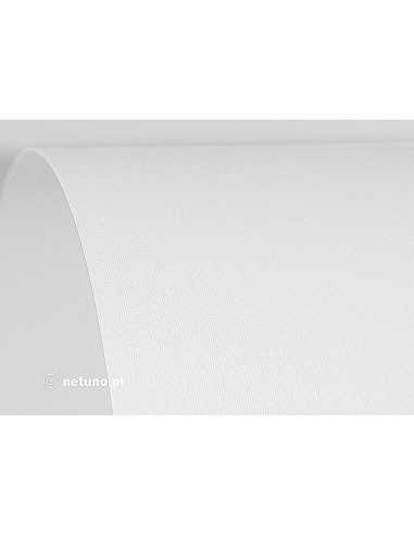 Aster Paper 250g Linen White 61x86