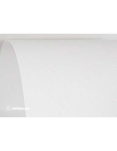 Aster Paper 250g Ribbed White 61x86