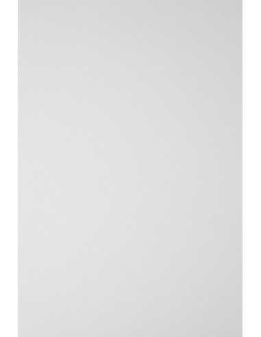 Ivory Board Smooth Paper 246g Glazed White 61x86