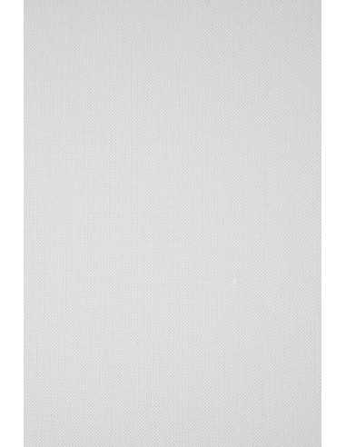 Ivory Board Embossed Paper 246g Linen 500 White 61x86