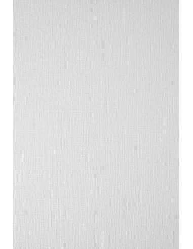 Ivory Board Embossed Paper 246g Sieve 207 White 61x86