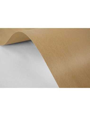 Recycled Kraft Paper 170g Brown 61x86