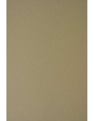 Nettuno Paper 215g Grigio pack of 10A4