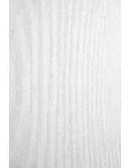 Nettuno Paper 215g Bianco Artico pack of 10A4