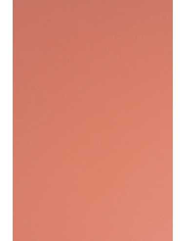 Sirio Color Decorative Smooth Colourful Paper 115g Flamingo pack of 50A4