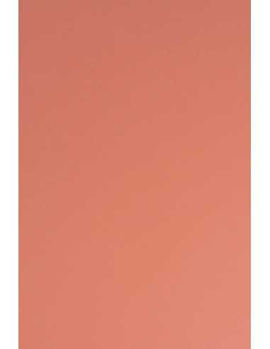 Sirio Color Decorative Smooth Colourful Paper 210g Flamingo pack of 25A4