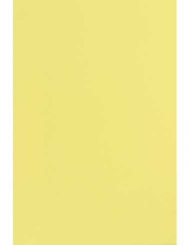 Popset Decorative Paper Dry toner 240g Citrus Yellow 45x32 R100