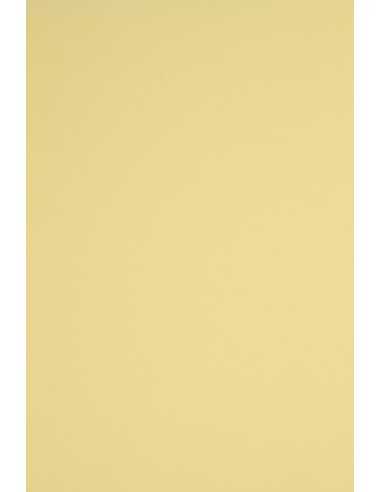 Rainbow Decorative Smooth Colourful Paper 230g R12 Bright Yellow pack of 10A3
