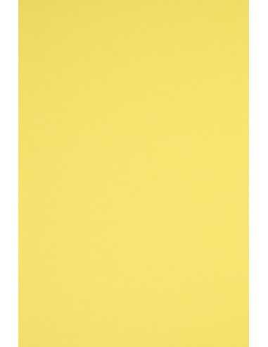 Rainbow Decorative Smooth Colourful Paper 230g R16 Yellow pack of 10A3