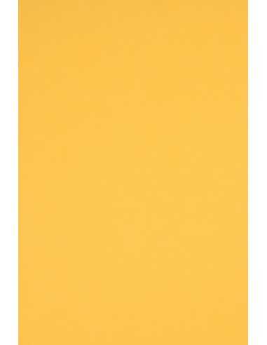 Rainbow Decorative Smooth Colourful Paper230g R18 Dark Yellow pack of 10A3