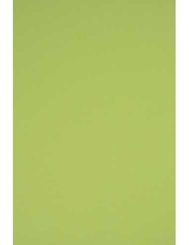 Rainbow Decorative Smooth Colourful Paper 230g R74 Bright Green pack of 10A3