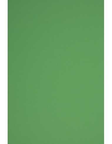 Rainbow Decorative Smooth Colourful Paper 230g R78 Dark Green pack of 10A3