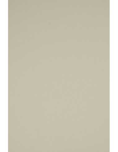 Rainbow Decorative Smooth Colourful Paper 230g R96 Grey pack of 10A3