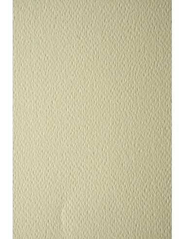 Prisma Decorative Textured Colourful Paper 220g Avorio pack of 10A3