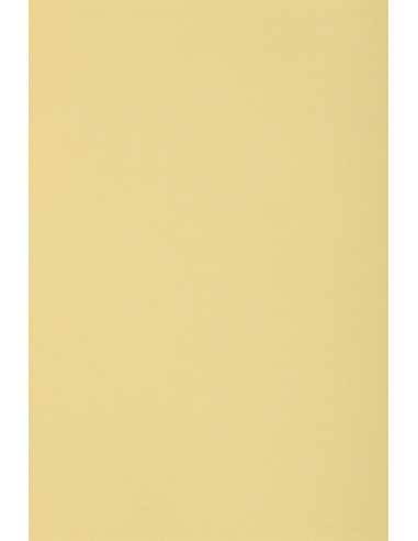 Burano Decorative Smooth Colourful Paper 250g Camoscio B02 pack of 10SRA3