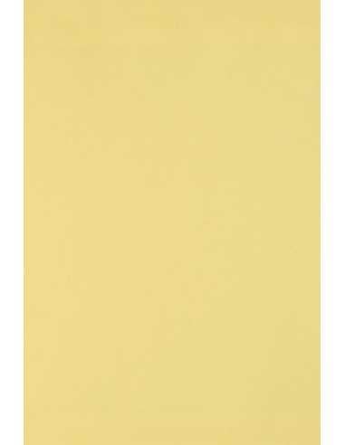 Burano Decorative Smooth Colourful Paper 250g Giallo B07 pack of 10A3