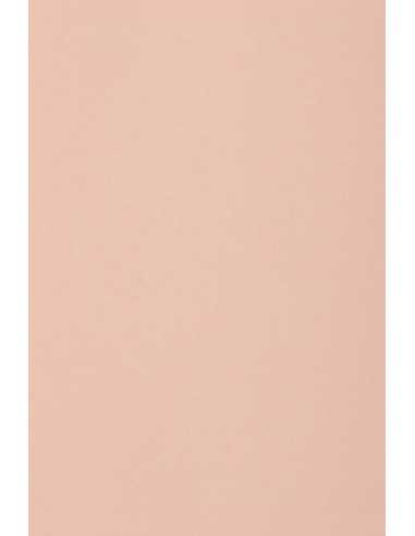Burano Decorative Smooth Colourful Paper 250g Rosa B10 pack of 10A3