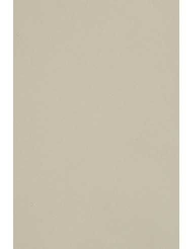 Burano Decorative Smooth Colourful Paper 250g Grigio B12 pack of 10A3