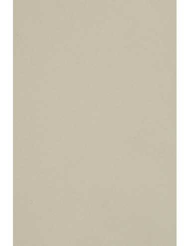 Burano Decorative Smooth Colourful Paper 250g Grigio B12 pack of 10SRA3