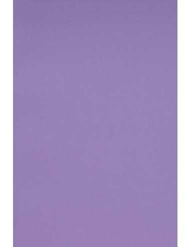 Burano Decorative Smooth Colourful Paper 250g Violet B49 pack of 10A3