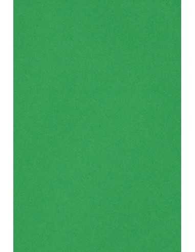 Burano Decorative Smooth Colourful Paper 250g Verde Bandiera B60 pack of 10A3
