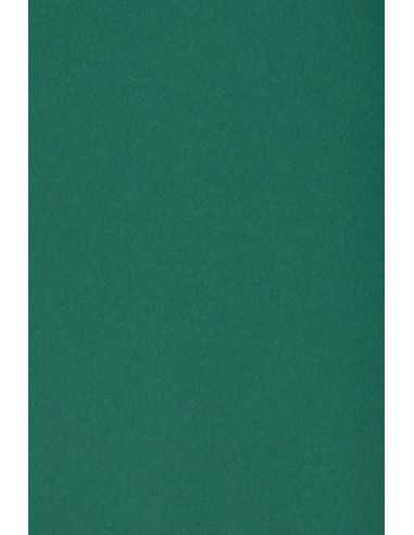 Burano Decorative Smooth Colourful Paper 250g English Green B71 pack of 10A3