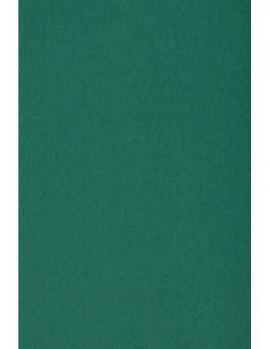 Burano Decorative Smooth Colourful Paper 250g English Green B71 pack of 10SRA3