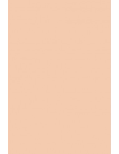 Rainbow Decorative Smooth Colourful Paper 230g R40 Salmon Pink pack of 10A3