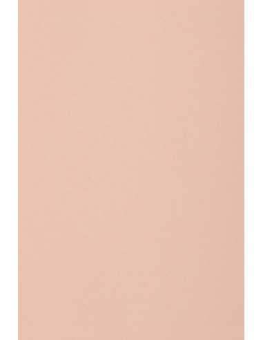 Burano Decorative Smooth Colourful Paper 250g Rosa B10 pack of 10A5