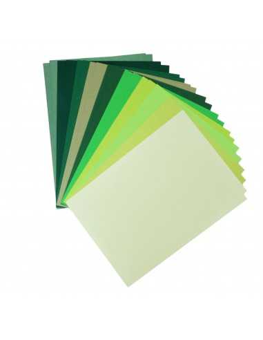 Decorative Colourful Paper Set Green pack of 20A5