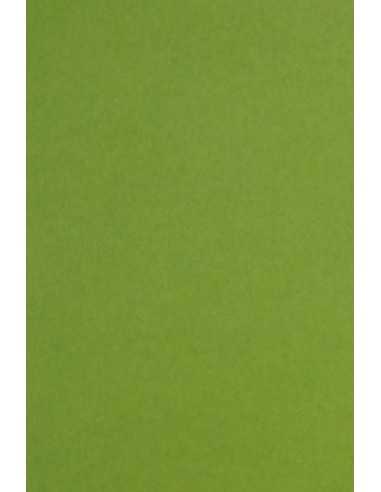 Keaykolour decorative smooth colourful paper 300g Meadow green 70x100 R100