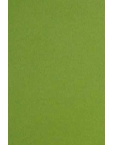 Keaykolour decorative smooth colourful paper 300g Meadow green pack of 10A4