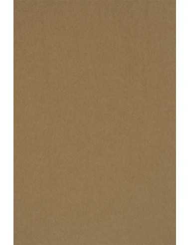 EKO PLUS decorative ecological paper Kraft 340g brown pack of 20A5